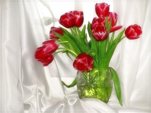 Набор для вышивания Красный тюльпан () – купить в Москве | ремонты-бмв.рф